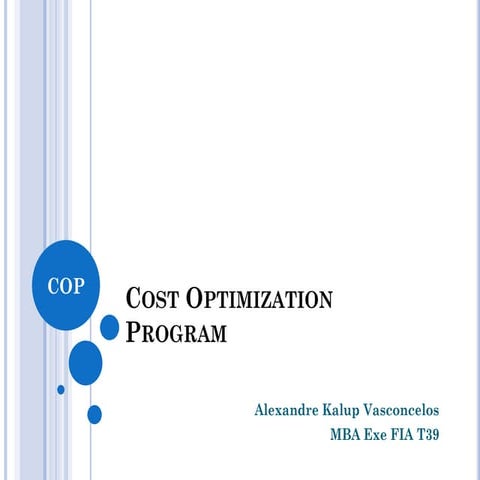 COP - Cost Optimization Program