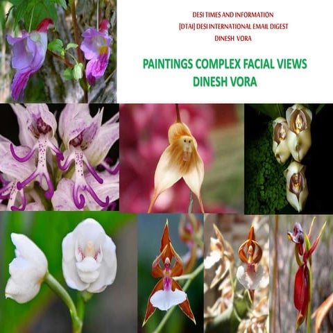 PAINTINGS COMPLEX FACE VIEWS - DINESH VORA