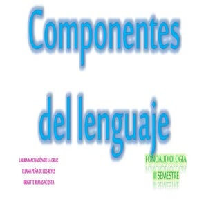 Componentes del lenguaje  