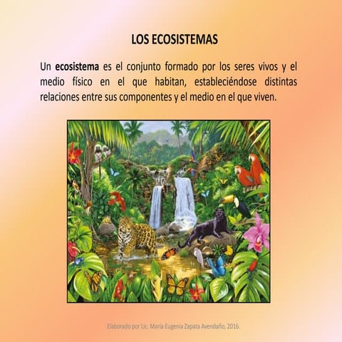 Componentes de los ecosistemas