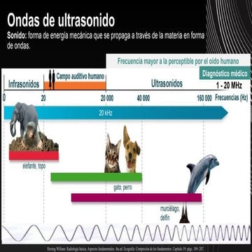 Principios básicos de ecografía, imagenologia.pdf