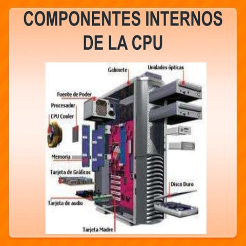 Componentes internos