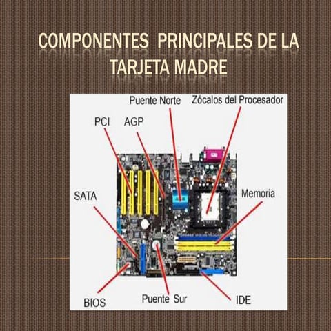 Componentes  principales de la tarjeta madre