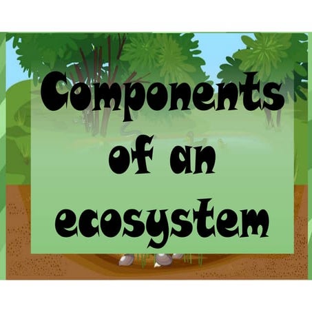 COMPONENTS OF AN ECOSYSTEM pathway to science 6 | PDF