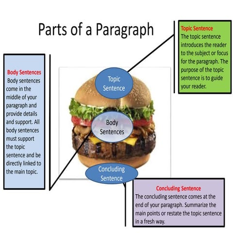 Components of a Paragraph