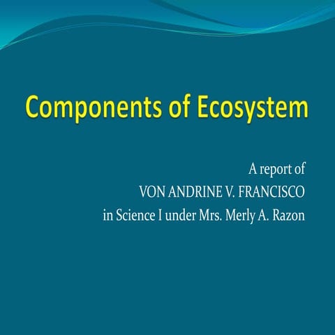 Components of ecosystem