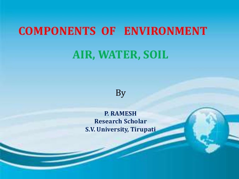 Components of environment