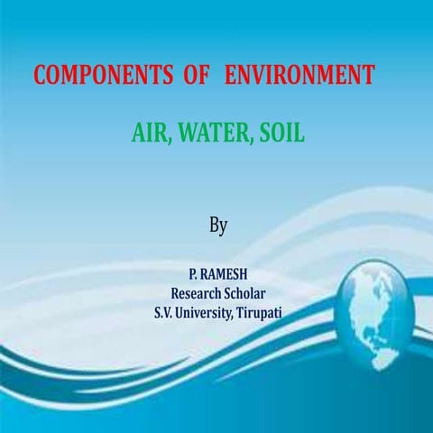 Components of environment