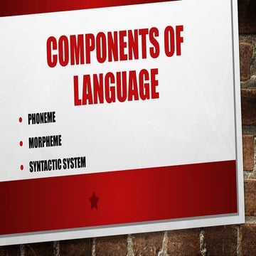 Comprehensive Overview of Language Components and Functions in ...