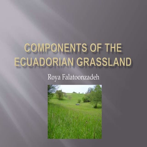 Components of the ecuadorian grassland