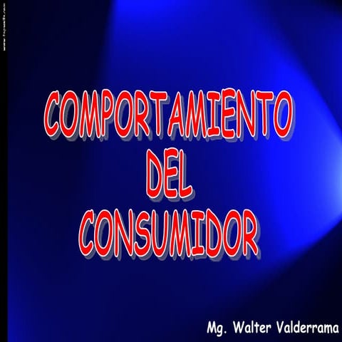 Comportamiento Del Consumidor