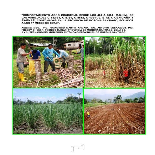 Comportamiento agro industrial desde los 400 a 1000  m