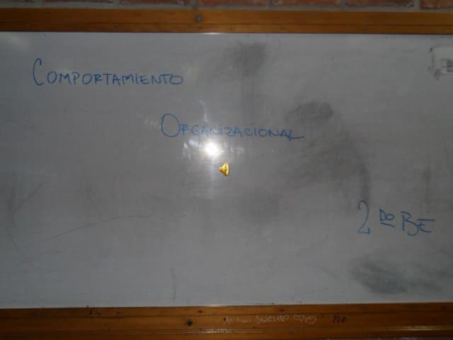 Comportamiento organizaciona 2 be