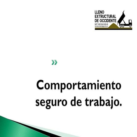 COMPORTAMIENTO SEGURO EJECUCUION DE ACTIVIDADES