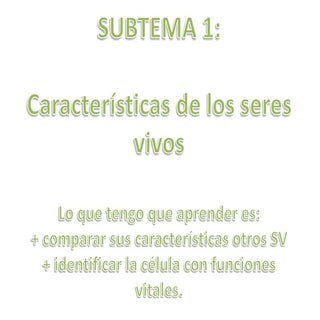 Composición y caractersticas de los...