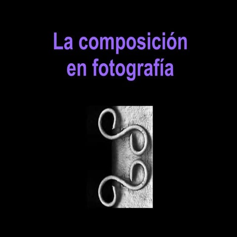Composicion En Fotografia