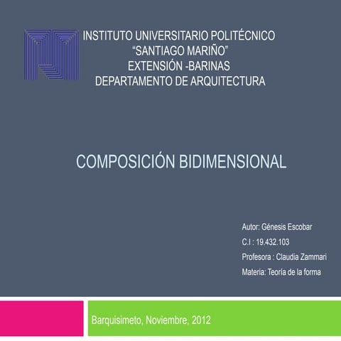 Composicion bidimensional genesis escobar