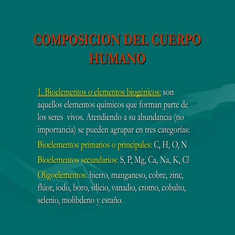 Composicion Del Ser Humano 1 | PPT