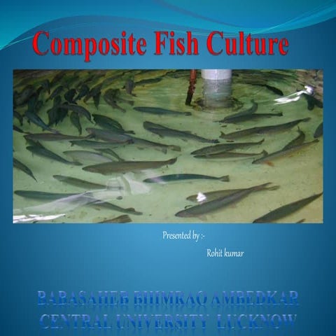 Composite fish culture