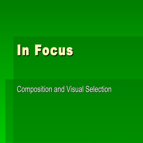 Lesson 1: Composition and Visual Selection