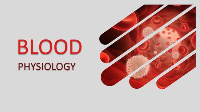 Blood Composiotion Blood Physiology