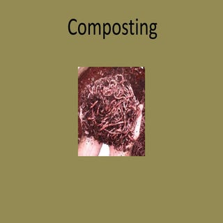 Compost by Dan B