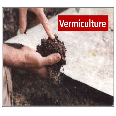 Petaluma Community Guild Guild Compost Forum — Rick Kaye: Vermiculture