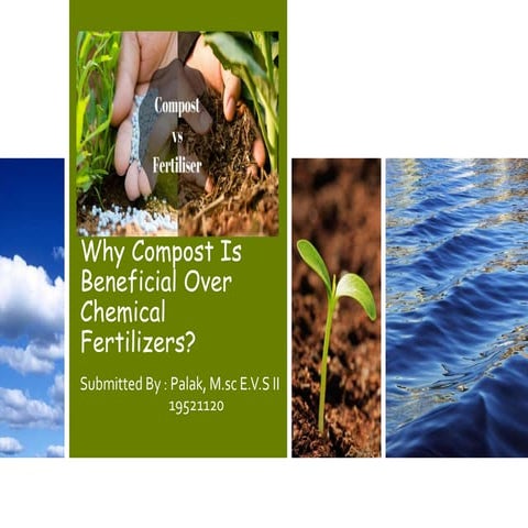 Compost vs chemical fertilizers | PPTX