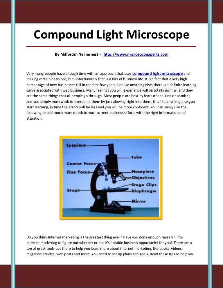 Compound light microscope