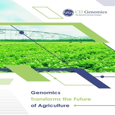 Comprehensive Agrigenomics Solutions