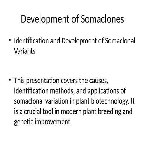Comprehensive_Development_of_Somaclones.pptx