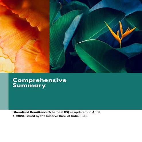 Comprehensive Summary- Liberalised Remittance Scheme (LRS).docx