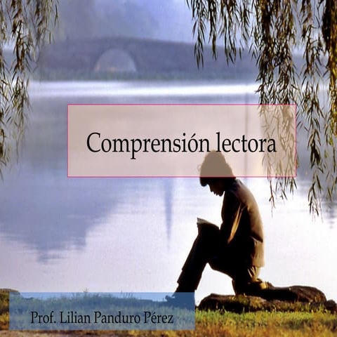 Comprensión lectora 08-05-11