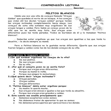 Comprensión lectora