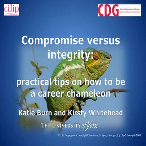 Compromise versus integrity: practical tips on how to be a career chameleon