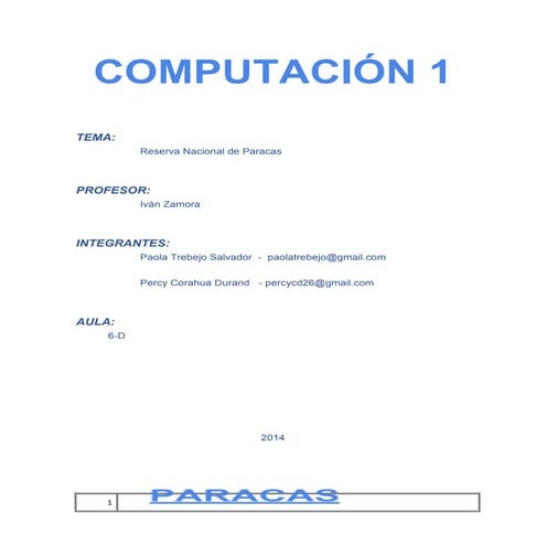 Compu.docx