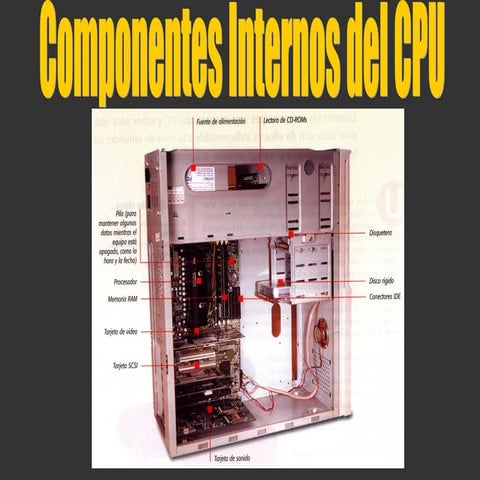 Componentes Internos Del Computador