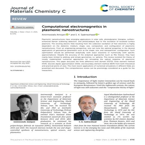 Computational electromagnetics in plasmonic nanostructures