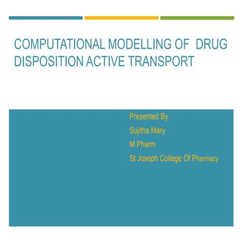 Computational modelling of  drug disposition active transport