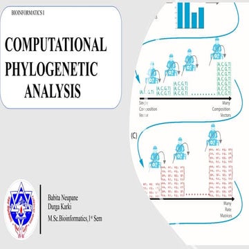 MEGA (Molecular Evolutionary Genetics Analysis) | PDF