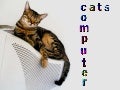 COMPUTER  CATS  