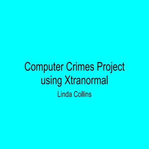 Computer crimes pro
