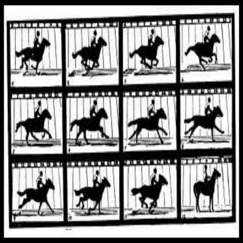 (Computer) Intro to Animatiom