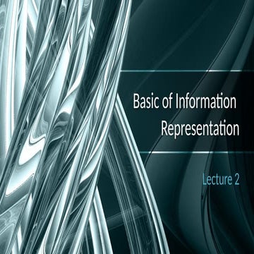 Comprehensive Overview of Information Representation and Compilation ...