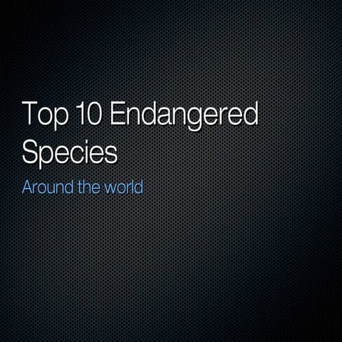 Top 10 Endangered Animals around the world | PPT