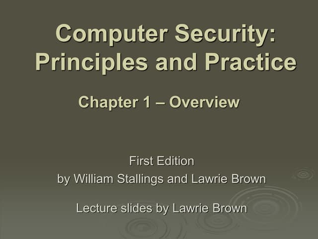 Computer security priciple and practice | PDF