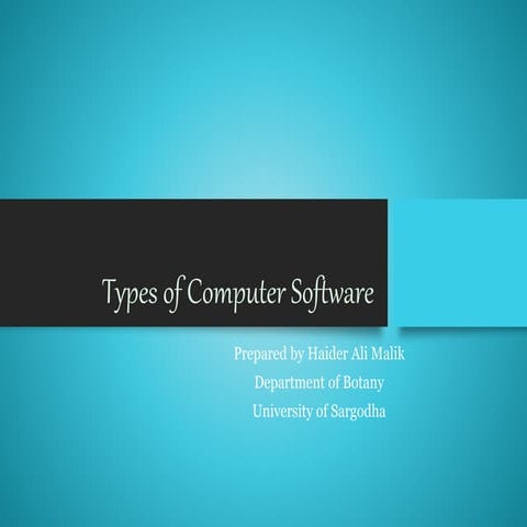 Types of Computer softwares