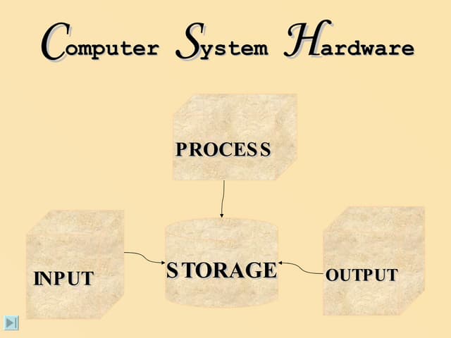 Computer System Hardware