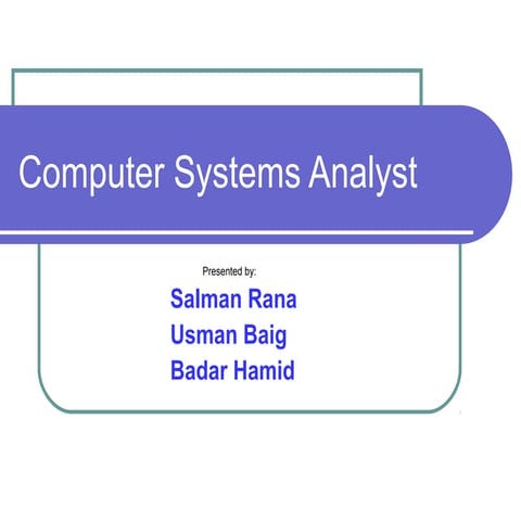 Computer System Analyst