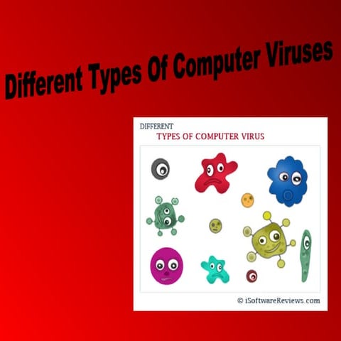 Computer virus